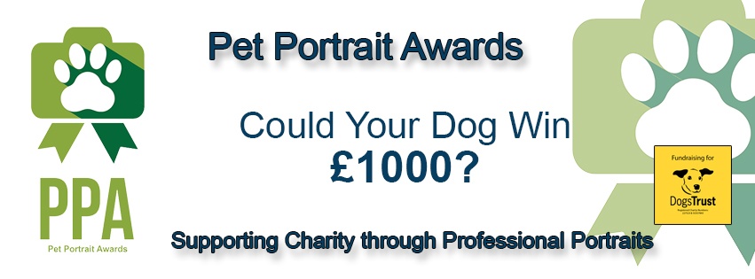 Pet Portrait Awards - Supporting The Dogs Trust and Guide Dogs Pet Portrait Awards - Supporting The Dogs Trust and Guide Dogs